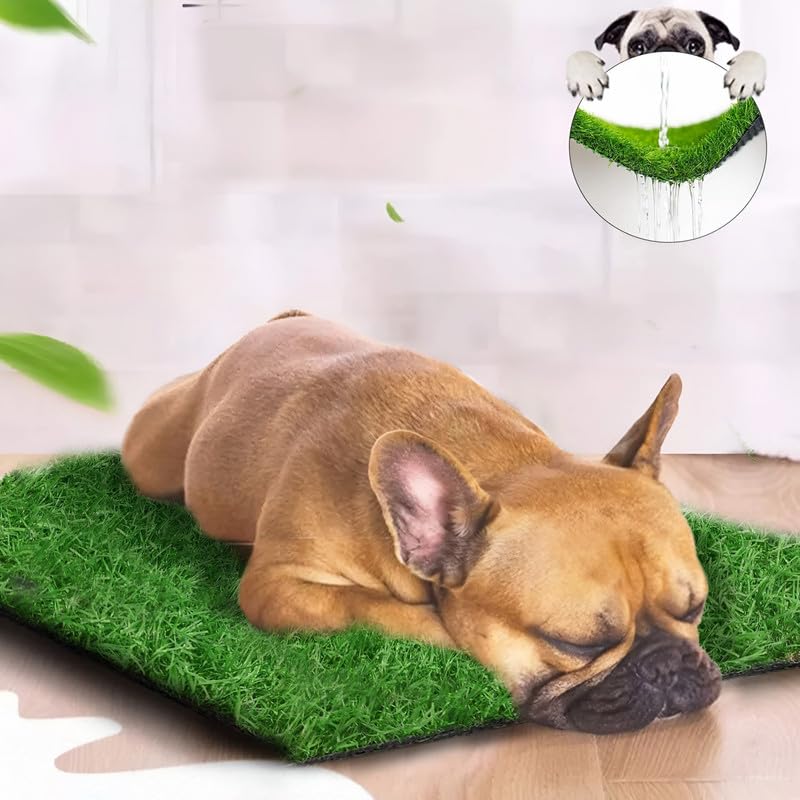 Click to open expanded view   VIDEO     4+ innovative edge High Density Artificial Grass Carpet Mat for Balcony, Lawn, Door Green with 4 Layer Protection